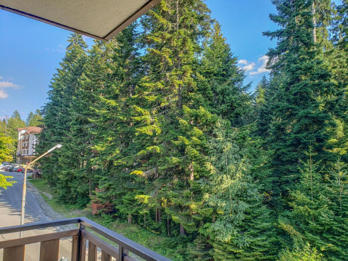Lovely Borovets Apartment Exterior photo