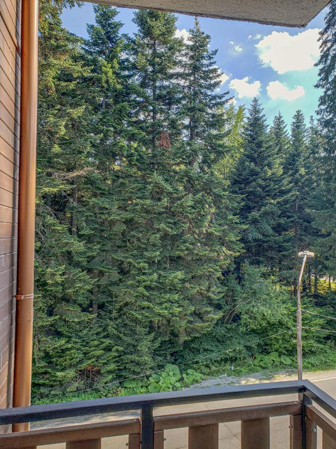 Lovely Borovets Apartment Exterior photo
