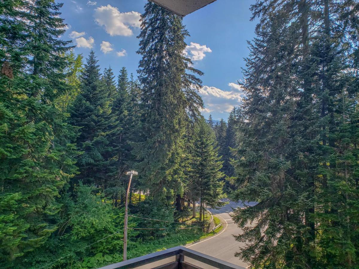 Lovely Borovets Apartment Exterior photo